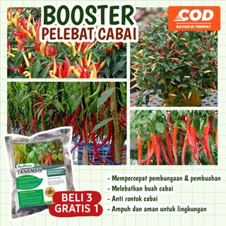 Alfagreen Pupuk Booster Untuk Pelebat Tanaman Buah pupuk nutrisi buah  perangsang pemacu pertumbuhan