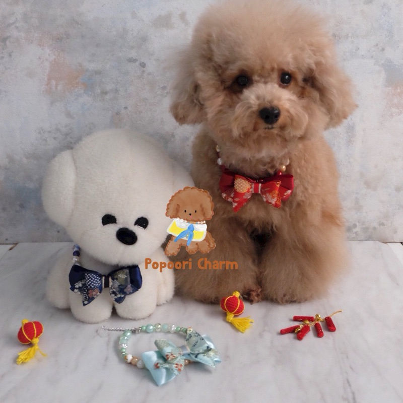 Popoori Do Hai Tie CNY สร้อยคอ/ สร้อยคอสัตว์/ อุปกรณ์สัตว์