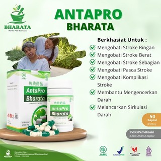 Obat Stroke Paling Ampuh Antapro Bharata Asli Original Obat Stroke Herbal Resmi BPOM