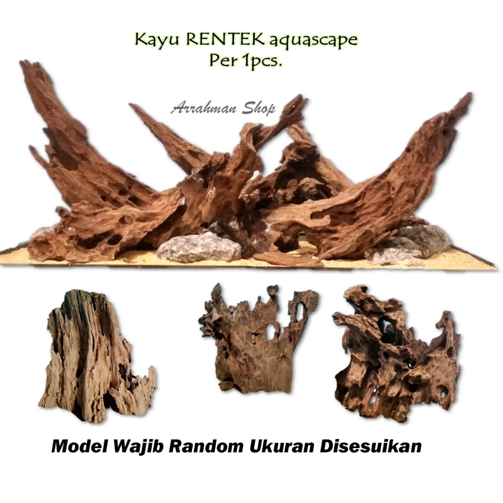 Kayu Sink Aquascape ให้เช่า Wood - Aquascape Wood Decoration Aquarium Decorative