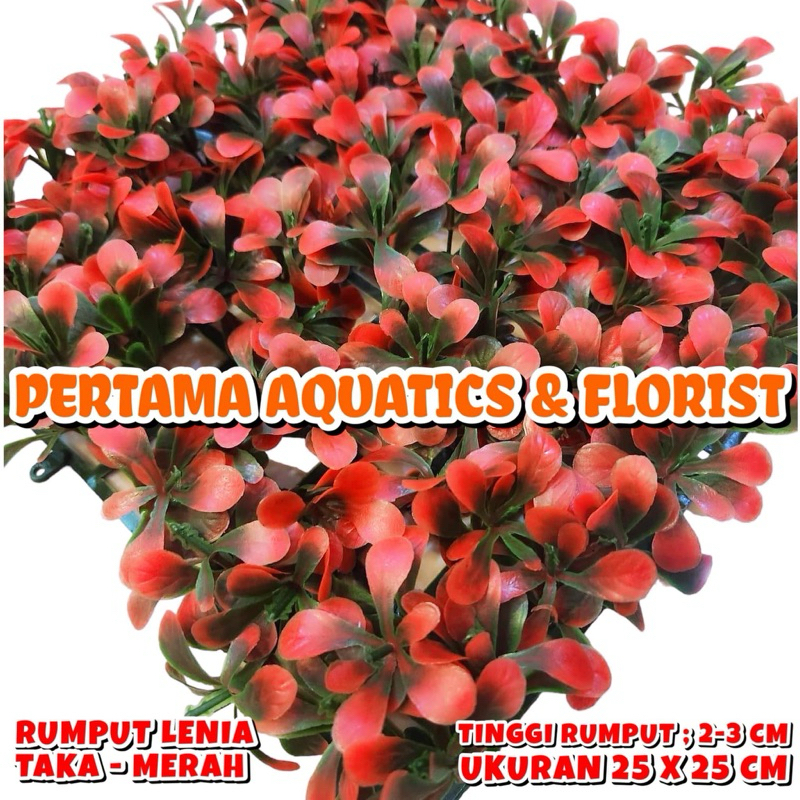 LENIA TAKA GRASS 25X25 CM/ AQUARIUM GRASS/ ARTIFICIAL GRASS/ WALL DECORATIVE GRASS/ TREE