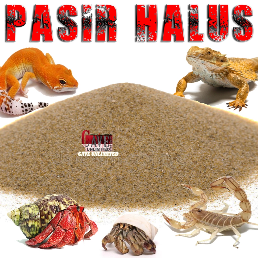 FINE SAND BEACH SUBSTRET NATURAL SAND MEDIA ANIMAL BASE REPTILE DESERT UMANG HERMIT CRAB PONGAN PETA