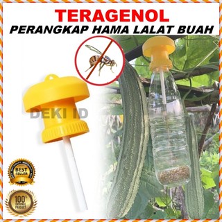 Perangkap Lalat Buah Teragenol Tempat Petrogenol Pengendali Hama Yellow Trap Insect Fly Tanaman
