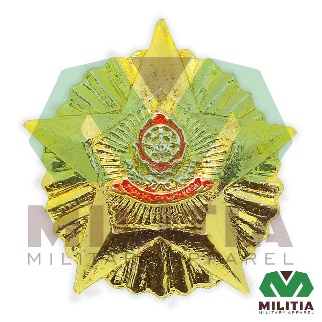 ปีก Sesko TNI PDH***