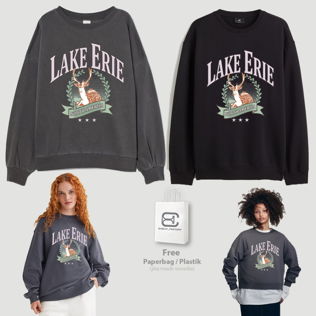 Crewneck Lake Erie HM Black Regular Size Sweater Women HnM Original Dark Grey