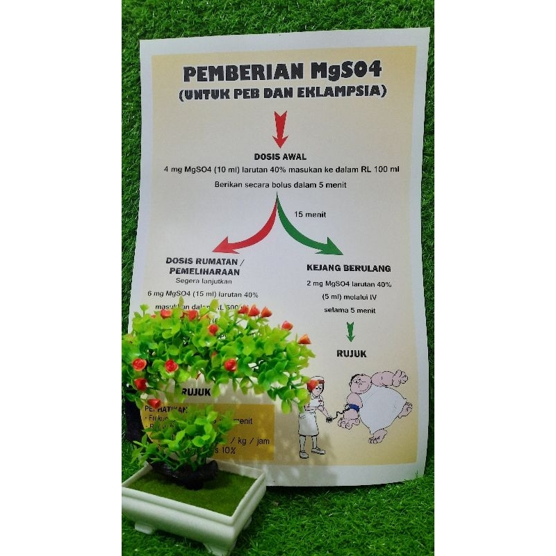 โปสเตอร์ทําความสะอาด MgSO4 สําหรับ PEB และ Eklampsia