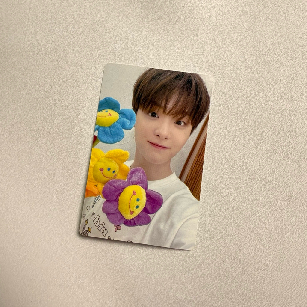 Pc photocard ตุ๊กตา jihoon treasure teume