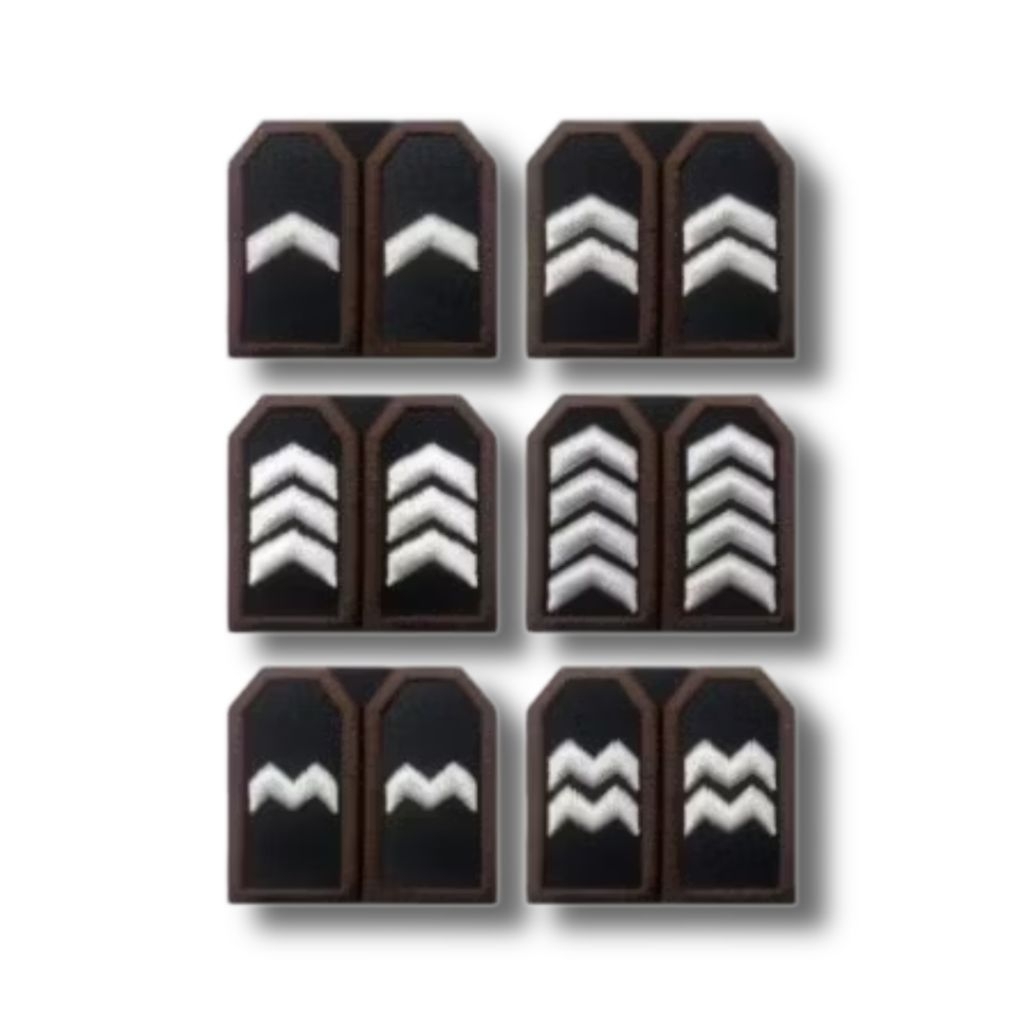 PLORI PDL RANK - BRIPDA PDL RANK - BRIPTU PDL RANK - BRIGADIR PDL RANK - BRIPKA PDL RANK - AIPDA PDL