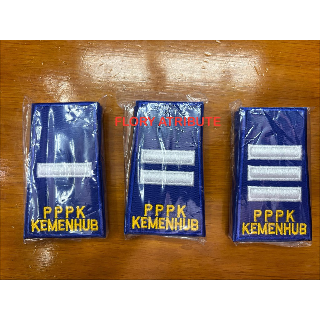 P3K RANK (INDIVITY OF GOVERNMENT WITH WORK AGREEMENTS) CLASS III