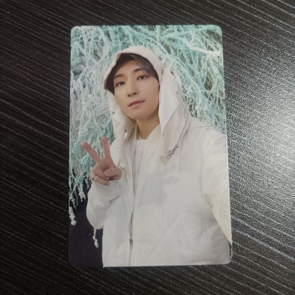 Wonwoo Seventeen Sector 17 Photocard อย่างเป็นทางการ