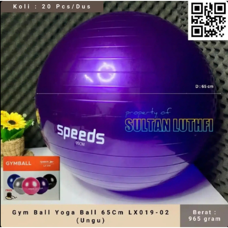 Gym Ball ลูกบอลโยคะ 65Cm LX019-02