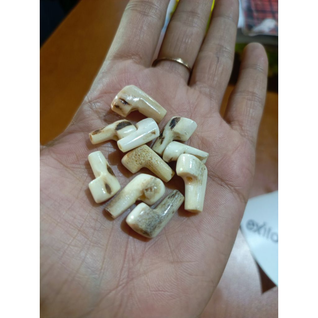 DER ANTLER BESTAN ปลายคัน