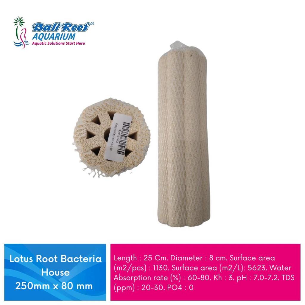 Lotus Root Bacteria House 250mm x 80 mm Fish Pond Filter Media Aquarium Biological Filter Media