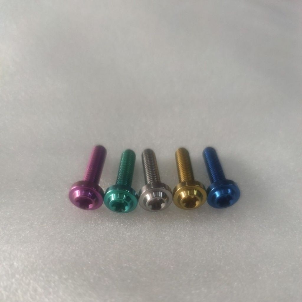 M6 TITANIUM BOLT THREAD 10 (GRADE 5)