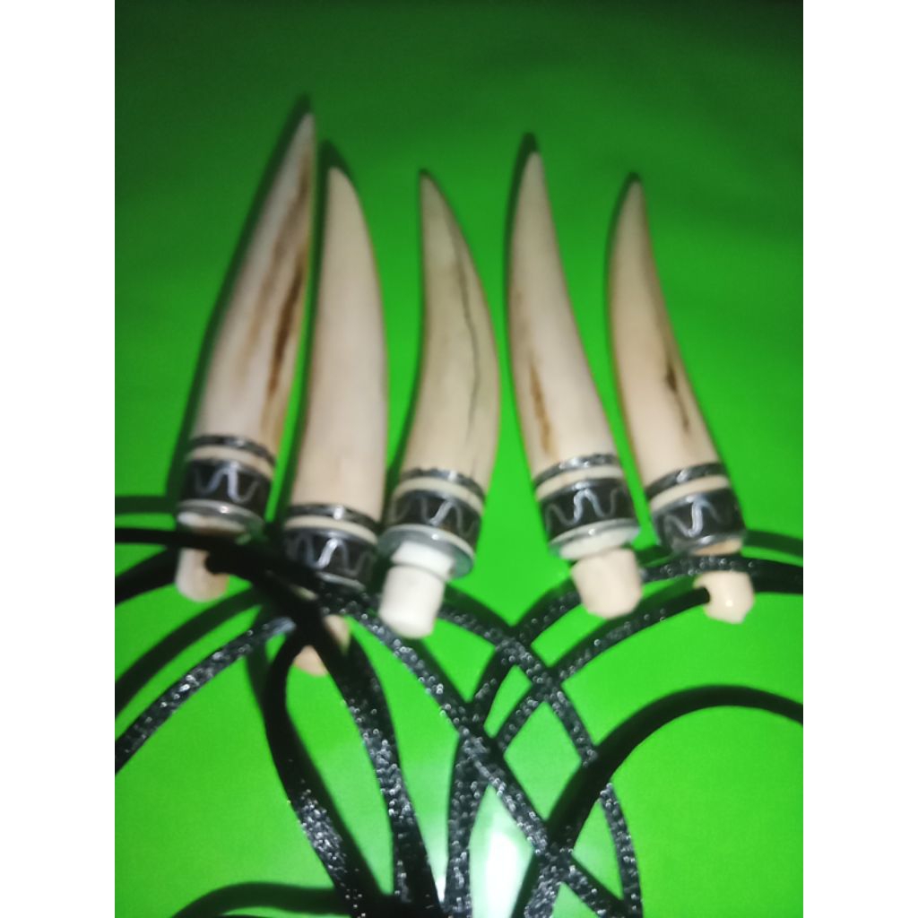 CMT kijang Pupul Horn สร้อยคออุปกรณ์เสริม