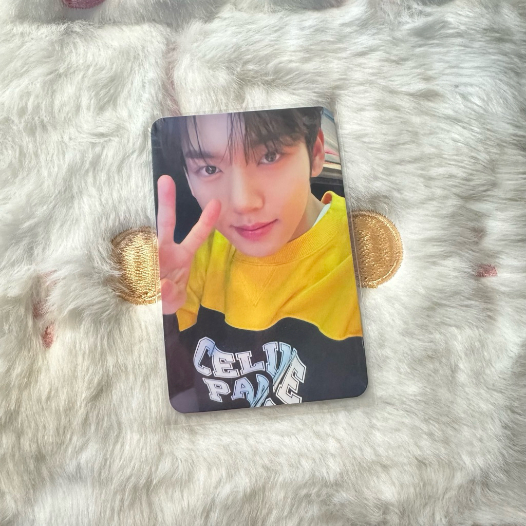 [เปลี่ยนอื่น ๆ กว่า spx] พร้อม ina pc han yujin zb1 pub appmus เยาวชนในร่มเงา