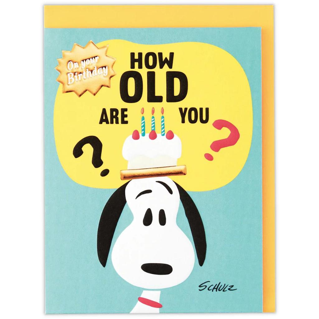GREETING CARD- HALLMARK - PEANUTS- SNOOPY SURPRISE BIRTHDAY CARD-3D- JP