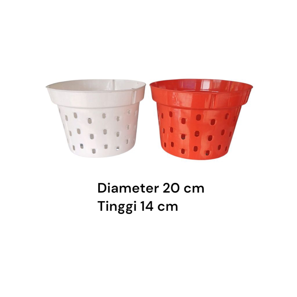 Dendro Orchid Pot ขนาด 20