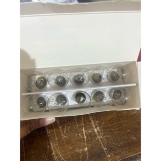 P21/5W 12V 2-LEG BULB (RETAIL)