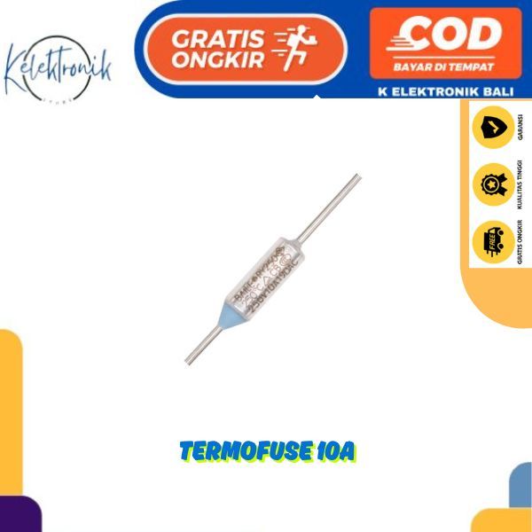 HOT THERMAL FUSE THERMOFUSE THERMOFUSE 10A 10 CAMPERE 250V