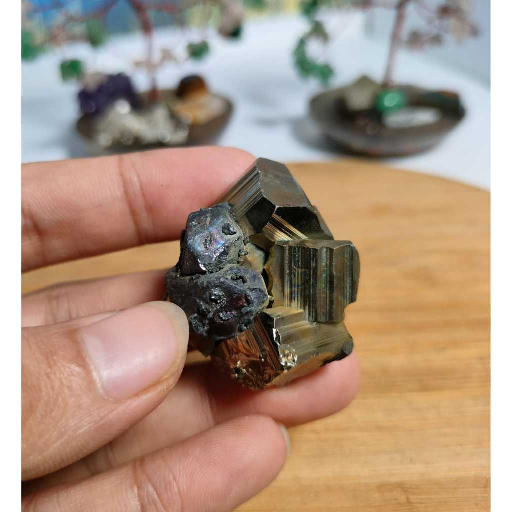 Natural Golden Cube Pyrite Cluster Nusantara คุณภาพสูงสุด (15)