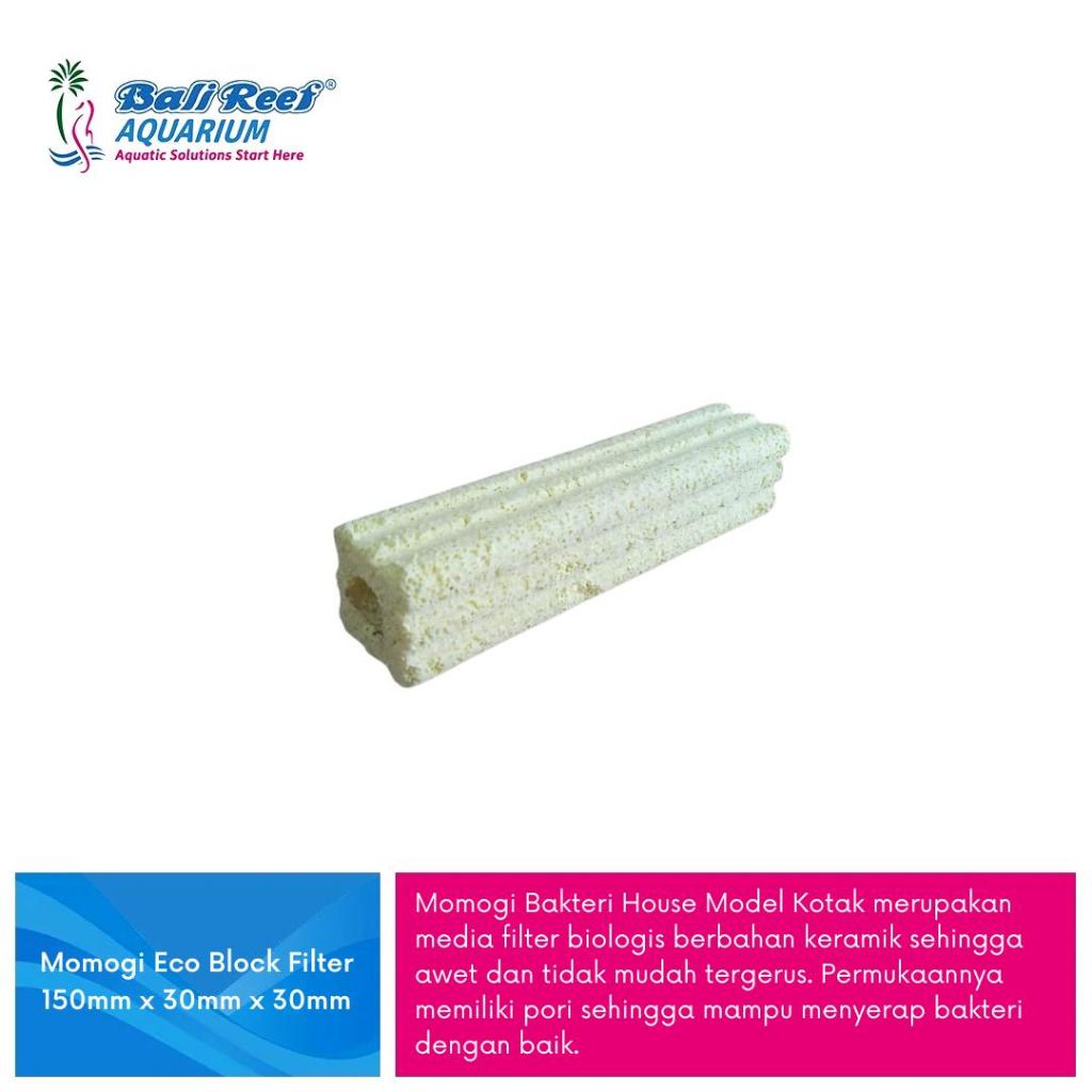 Eco Bio Block Bacteria House Aquarium Filter Media 8 ช่อง 15.5 ซม. / Bio Block Filter Media