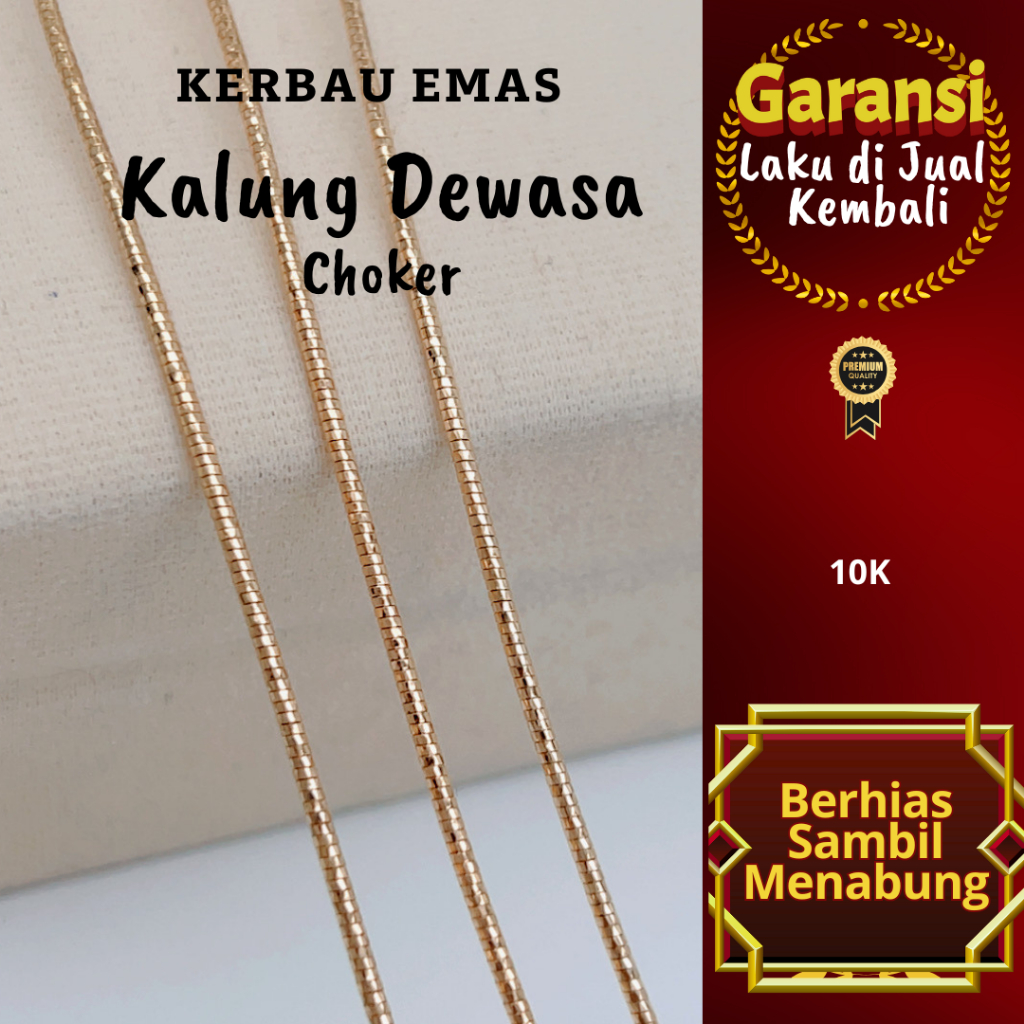 Gold Buffalo สร้อยคอผู้ใหญ่ธรรมดา Choker Chain 10K สี Ready ขนาด 40-41cm