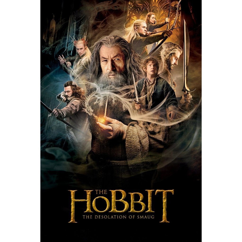 The Hobbit : The Destination Smaug (2013)