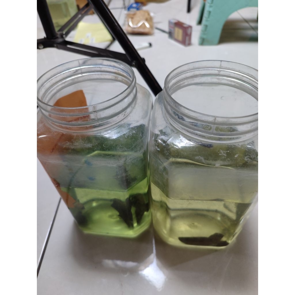 นักสะสมcpg**********