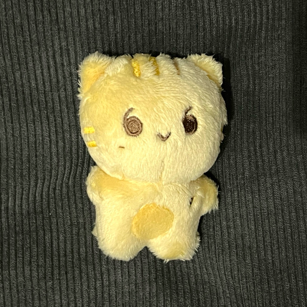 ตุ๊กตา SHINee TAEMIN 6v6 Fanmade