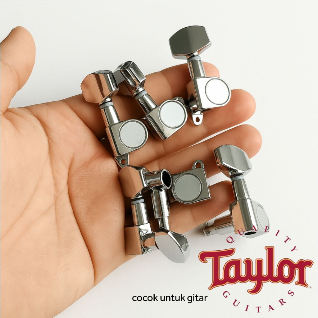 Grover Taylor Guitar Dryer / Taylor Guitar Grover / Taylor Guitar Dryer / Spin