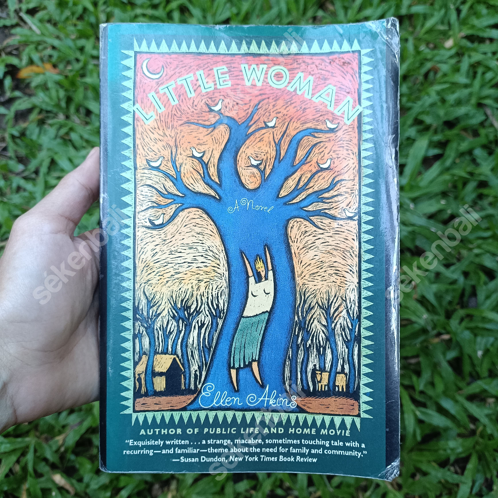 LIttle Woman Fiction Noveln Akins (1993) หนังสือวินเทจต้นฉบับ - นวนิยายนําเข้า