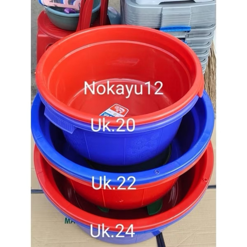 Comet Star Bak Comet ขนาด 20-22-24