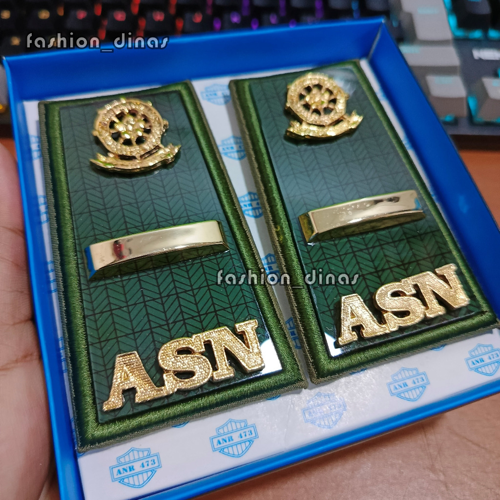 PPPK Satpol PP Lampung Rank ASN POL PP Lampung group IX