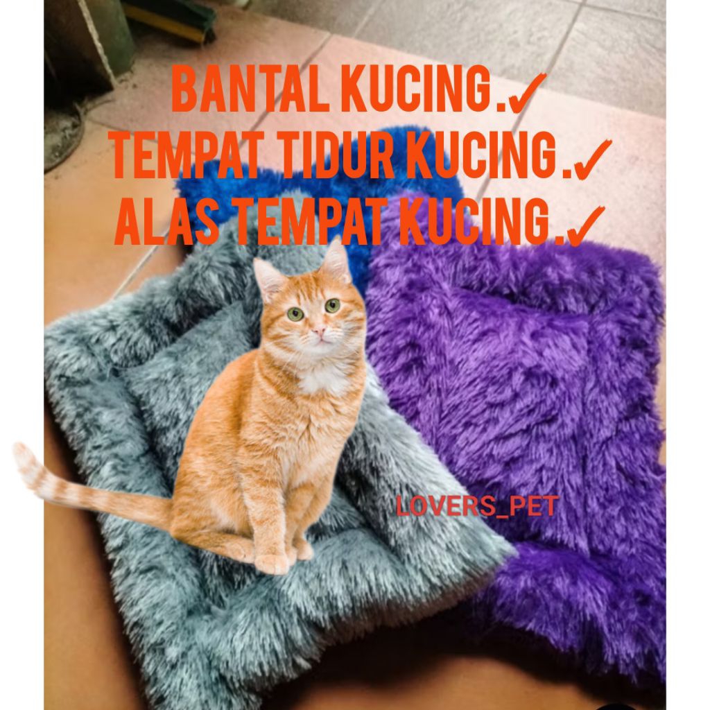 CAT PILLOW / CAT BED / CAT BED MAT (วิตามินน้ํามัน BONUS IKN)
