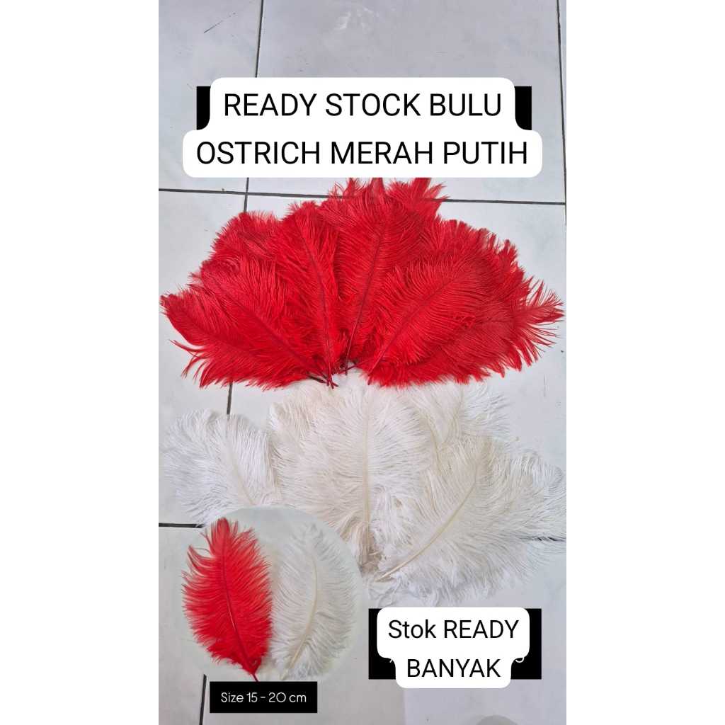 PER 1 SEED - ขนาด 15-20 ซม. / OSTRICH GRAIN FEATHER / DECORTATION FEATHER / DECORATIVE FEATHER