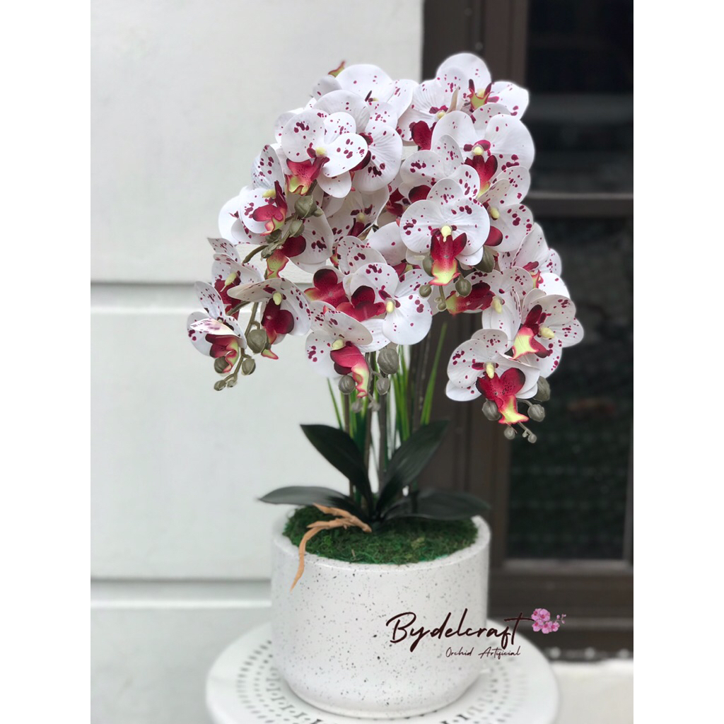 Mister Gear Orchid Latex Orchid 5 ก้าน