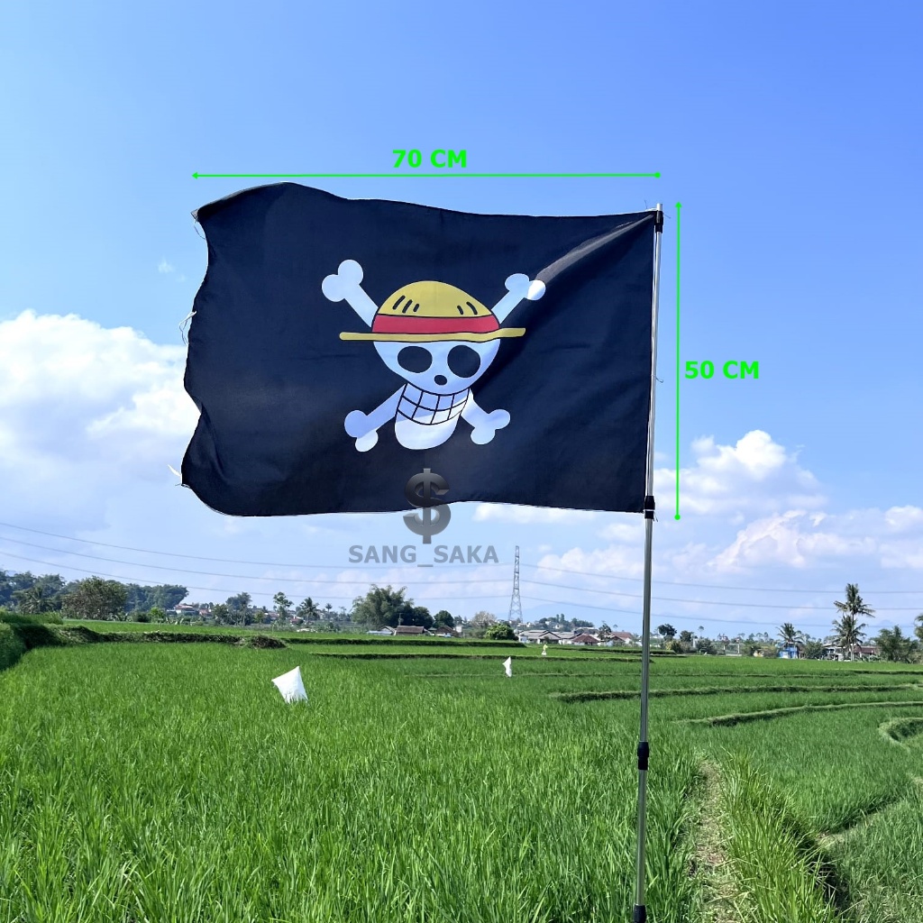 PICTURE DOUBLE-SIDED ของ PEACE FLAG หนึ่งชิ้น / PICTURE