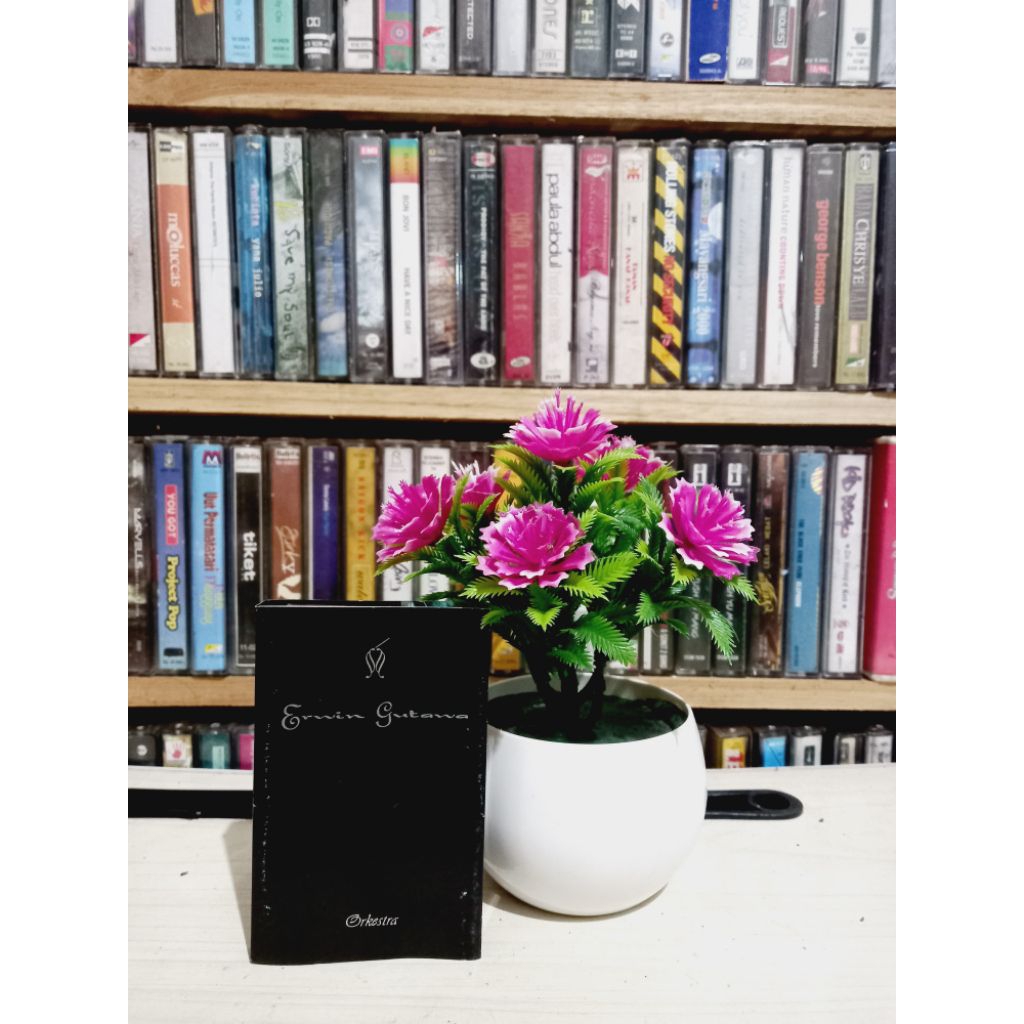 ERWIN GTW ORCHESTRA CASSSET