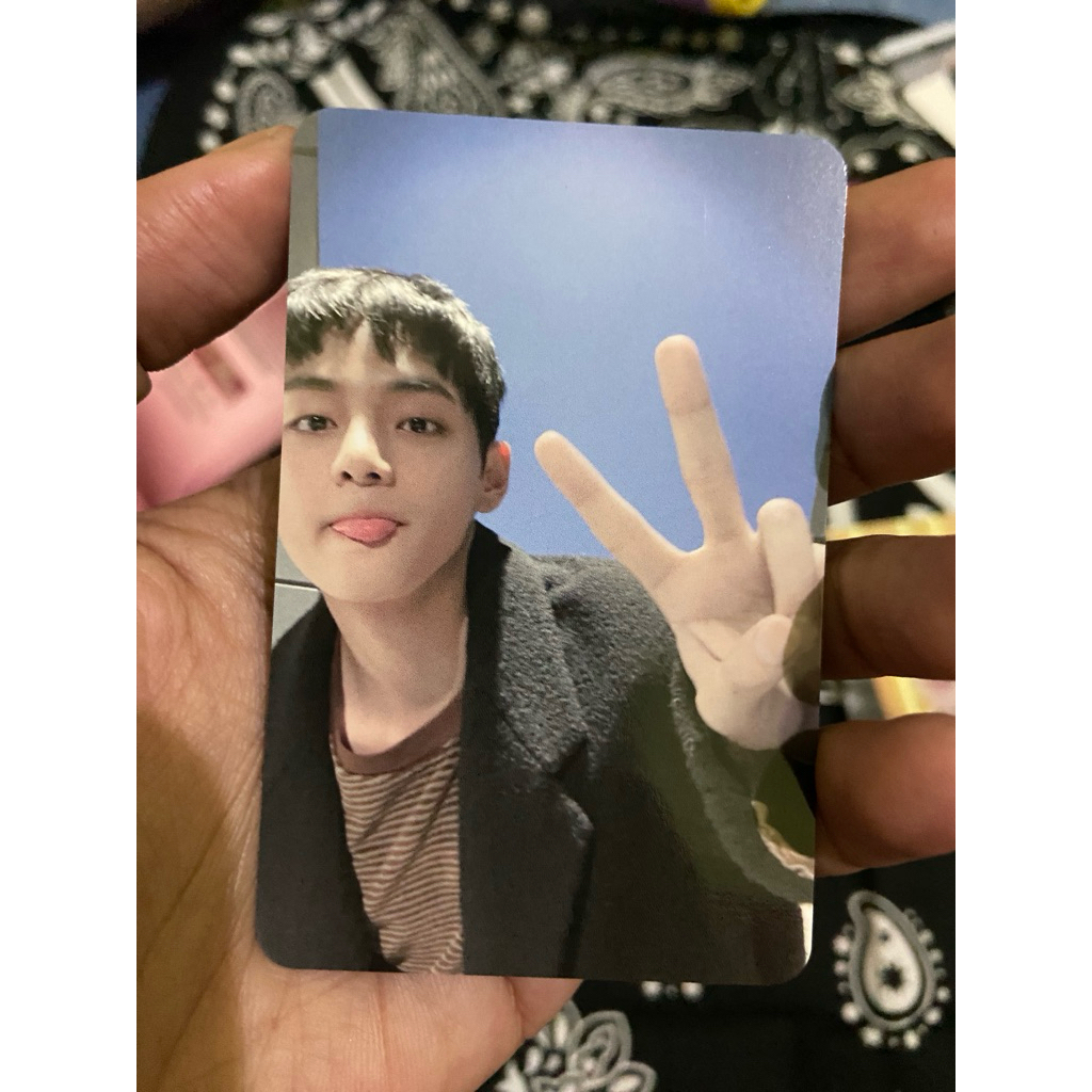 V pc festa 2025*****