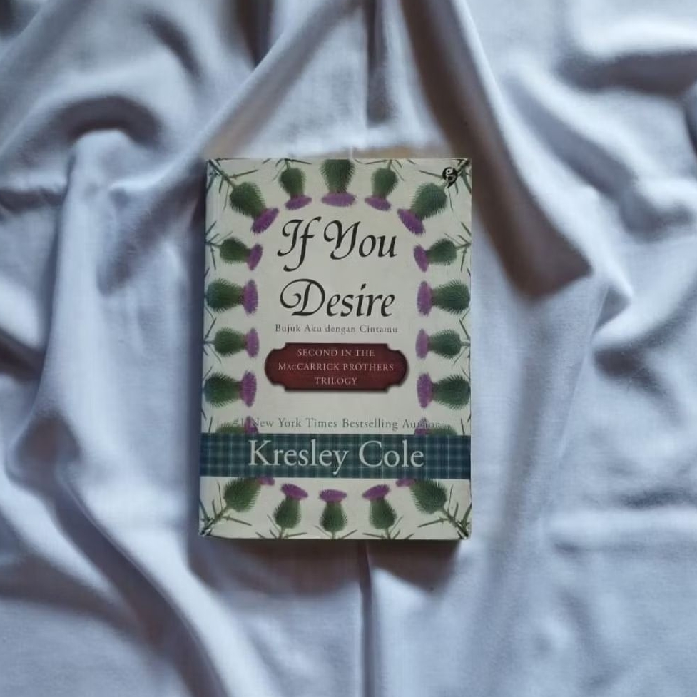 PRELOVED NOVEL "IF YOU DESIRE" (TRANSLATED NOVEL)
