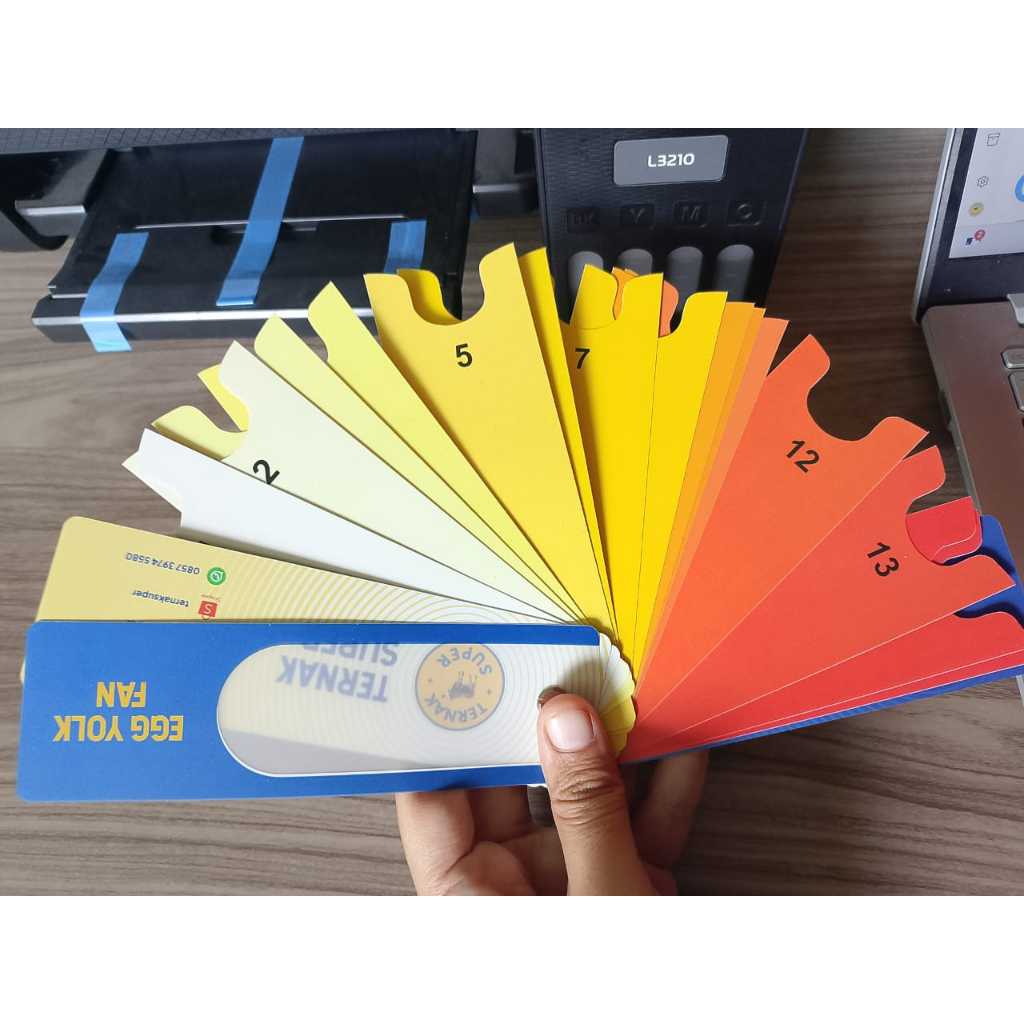 EGG YOLK FAN AND EGG SHELL FAN - พัดลมสี YOLK