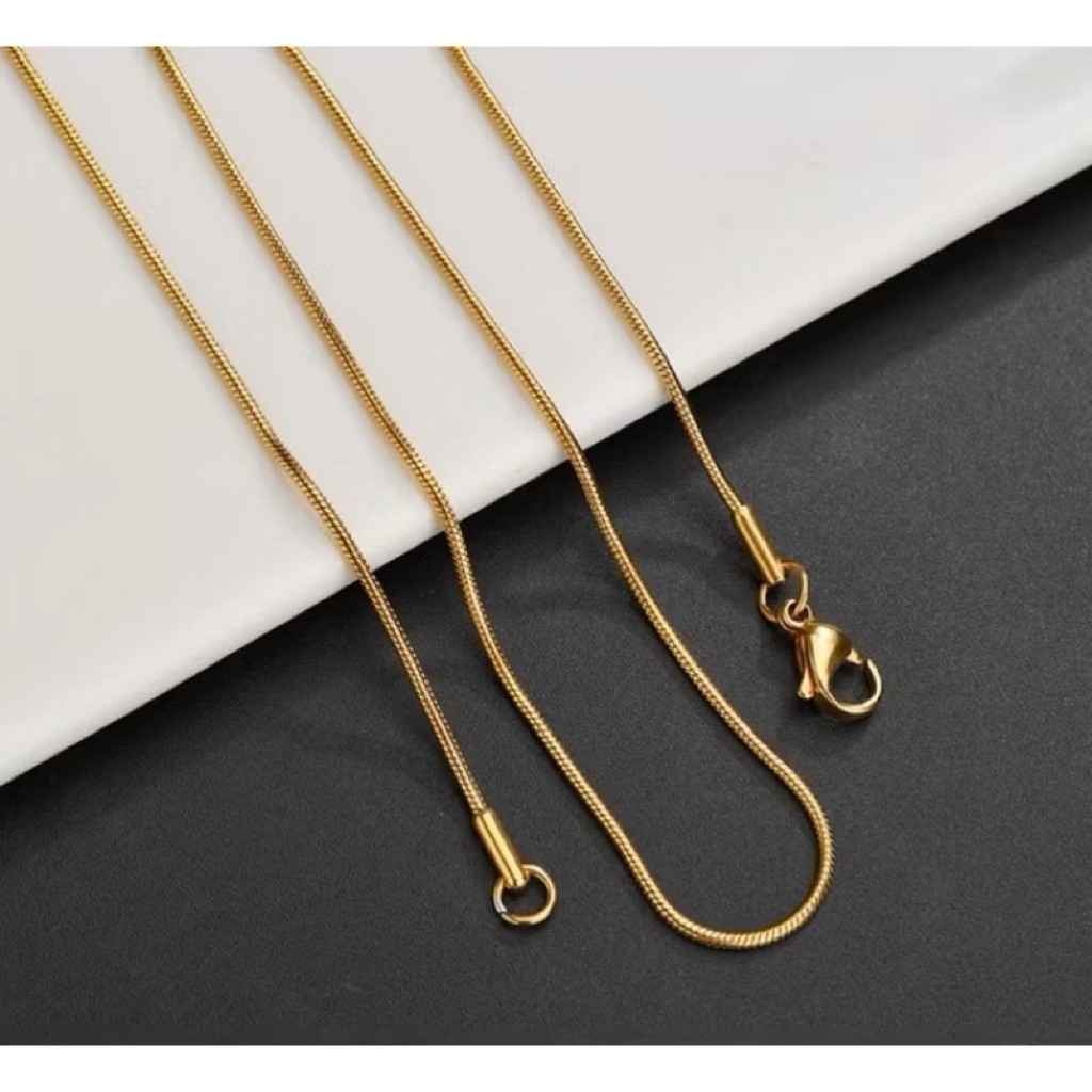 TITANIUM NECKLACE WITH EEL BONE MODEL NECKLACE สําหรับผู้ชายและผู้หญิง