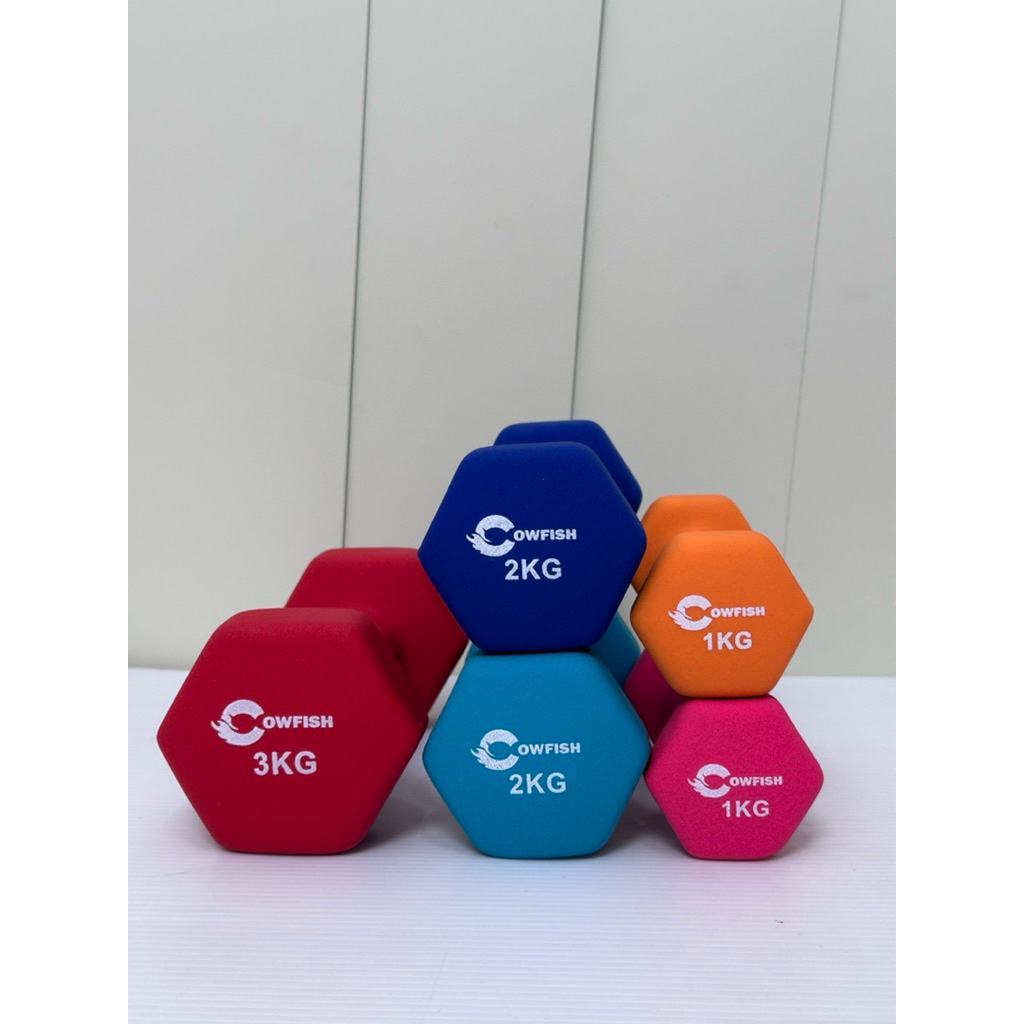 Dumbbel Chowfish 1 KG I 2 KG I 3 KG I 4 KG I 5 KG Arm Fitness Aid I Dumbbell Barbell กล้ามเนื้อแขนอุ