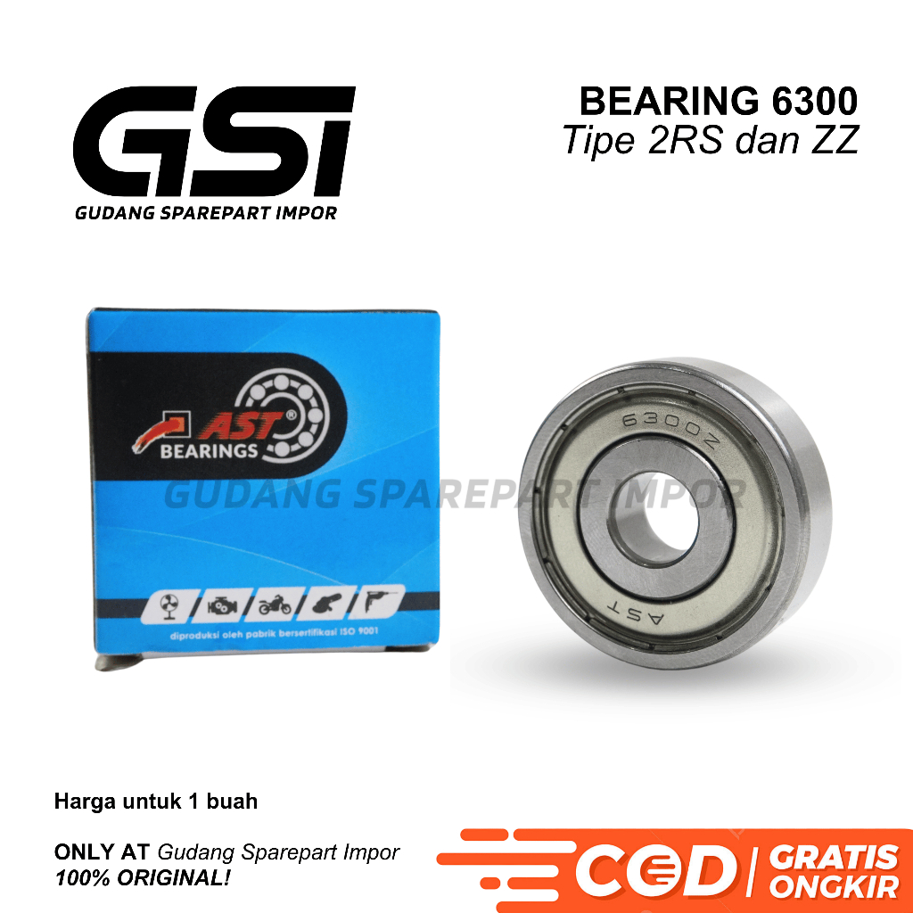 AST Bearing 6300 2RS / 6300ZZ Laker Laher