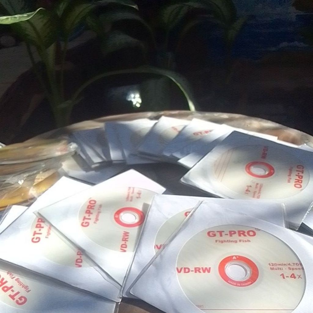 DVD-RW Plus GT-Pro DVD แผ่นเปล่า