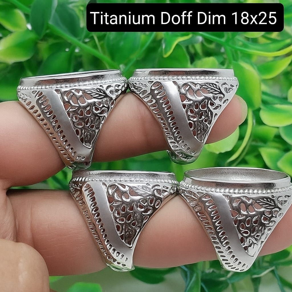 RING RING TITANIUM DOFF DIM 18X25
