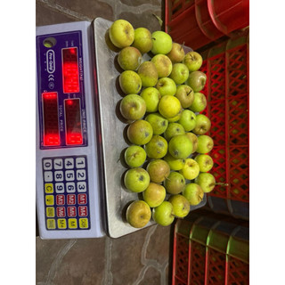 apel manalagi ukuran 35-45 per kg