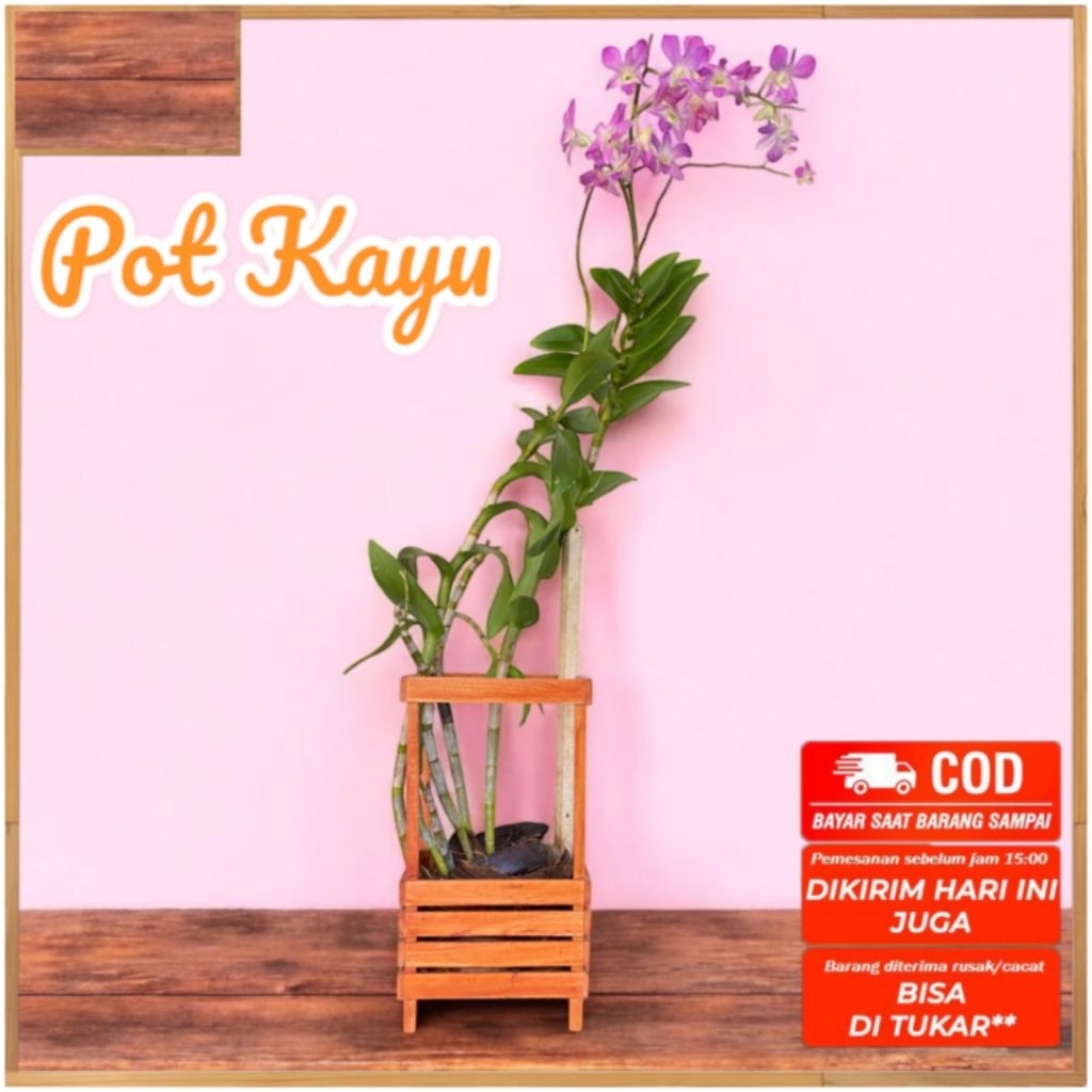 ORCHID FLOWER POT RACK จากสีเคลือบไม้