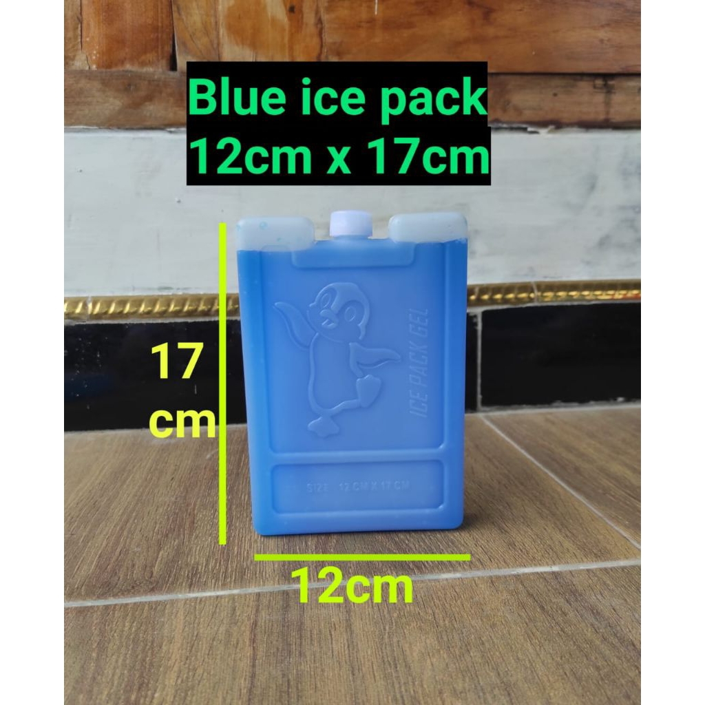 BLUE ICE PACK 12, 17CM ICE GEL BLUE DRY ICE THERMAFREEZE คุณภาพและอเนกประสงค์